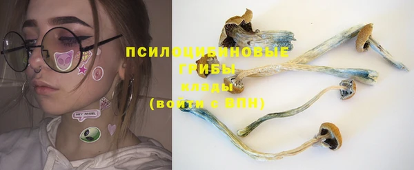 спайс Богородицк